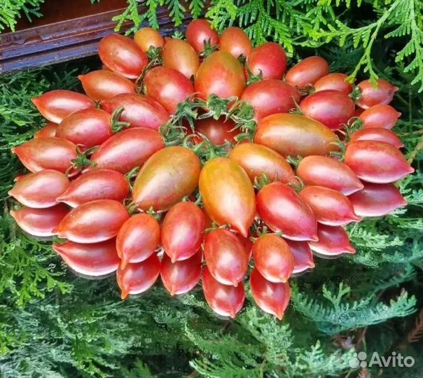 Семена томата Конфеты сладкие сосульки