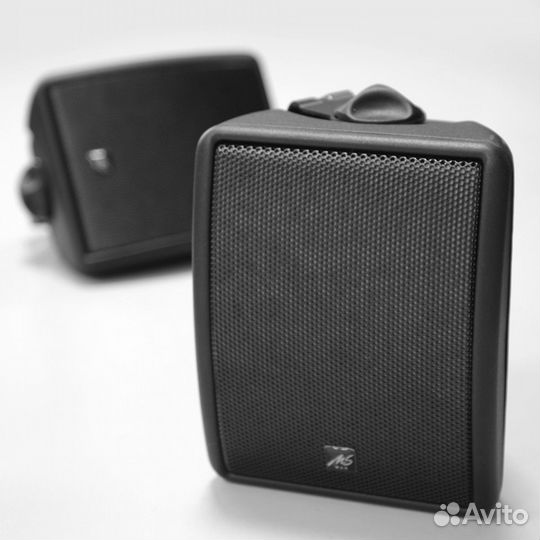 MS-MAX W24T - двухполосная ас новая с кронштейном