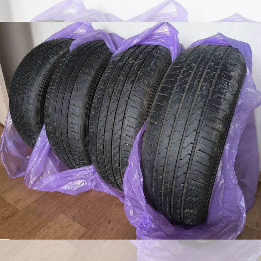 evolution - Авито | Объявления во всех регионах: купить вещь