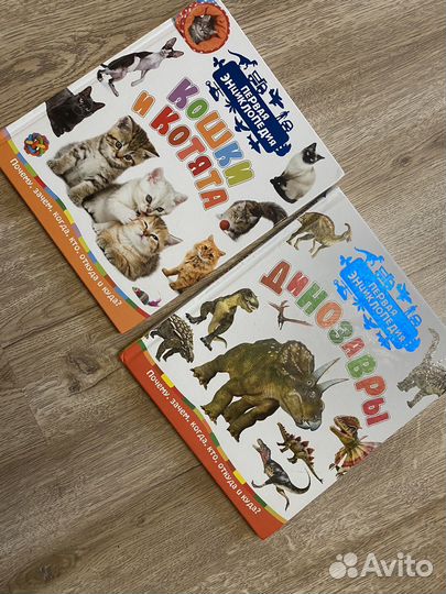 Детские книги первая энциклопедия