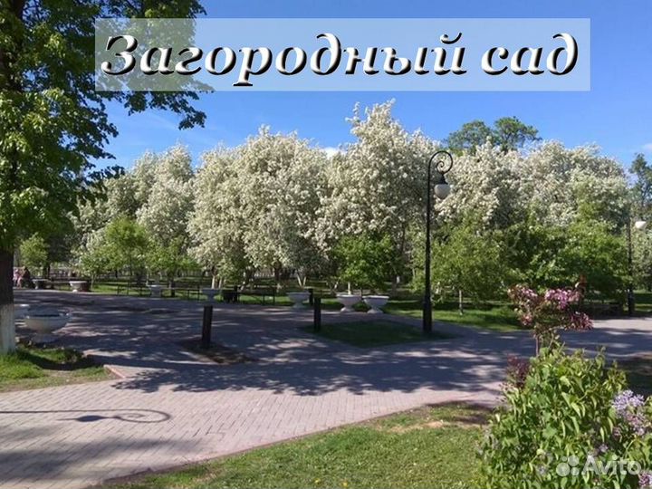 10.ноя.23 тур Горячее сердце Тюмени цо3007.03