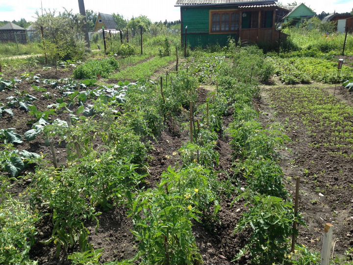 Участок 8 сот. (СНТ, ДНП)