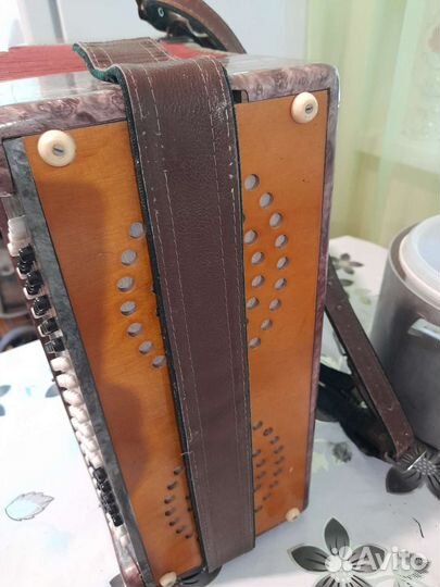 Баян,Ростов-Дон