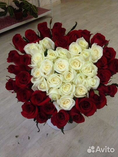 Цветы, 51 роза, 101 роза