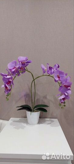 Орхидея искусственная