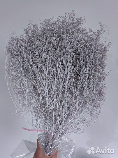 Сухоцветы для творчества