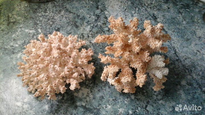 Декор для аквариума