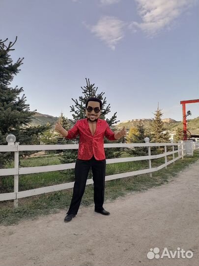 Аниматоры на день рождения для взрослых