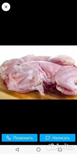 Мясо кролика