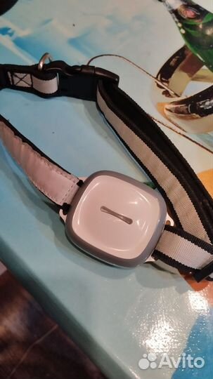 Gps трекер для собак gt011