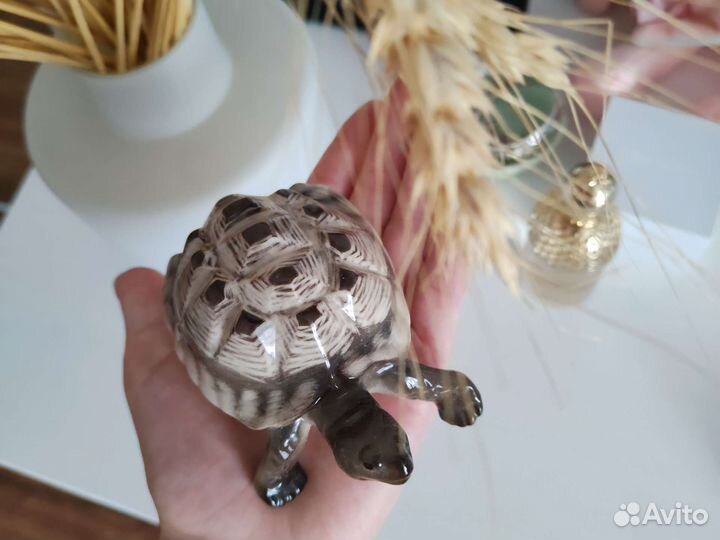 Черепаха из фарфора ищет дом