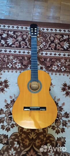 Гитара + чехол + струны + медиаторы