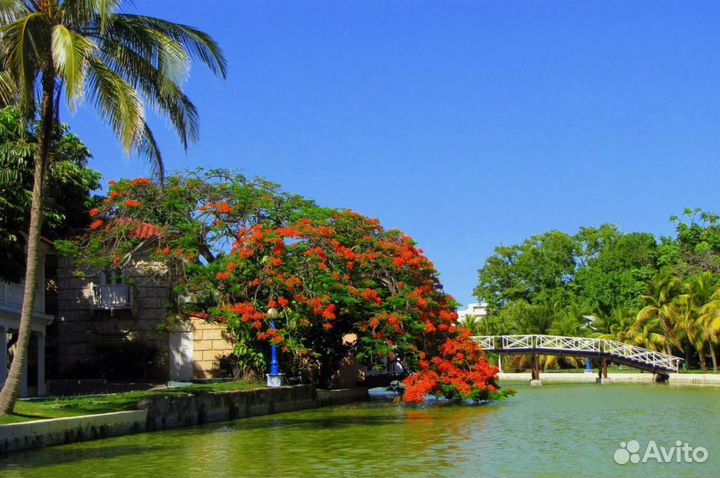 На Кубу, путевка 8 нч. без питания