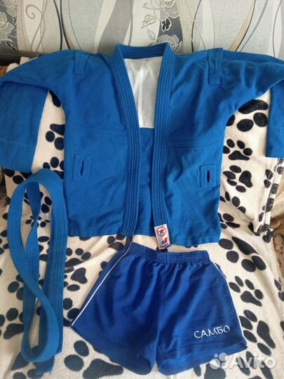 Защита и кимоно