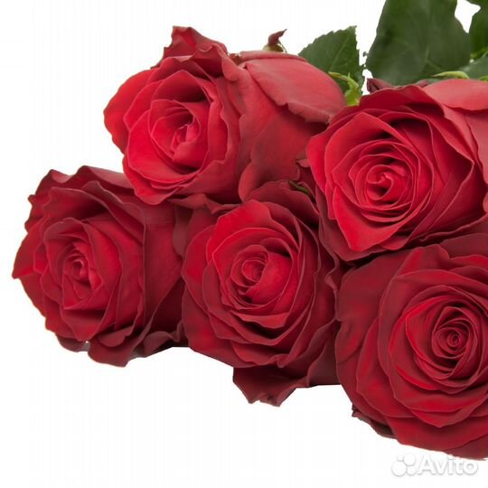 Букет из роз Красных Премиум 50 см (11-101)