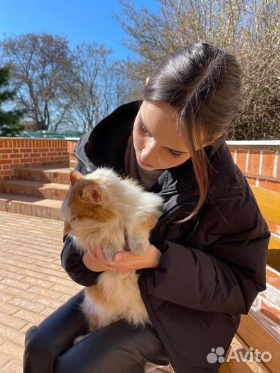 Услуги няни