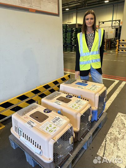 Отправка животных в США