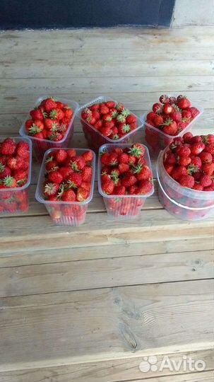 Клубника, малина