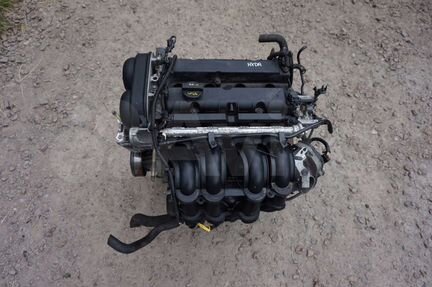 Двигатель hxdb Ford Focus 1.6