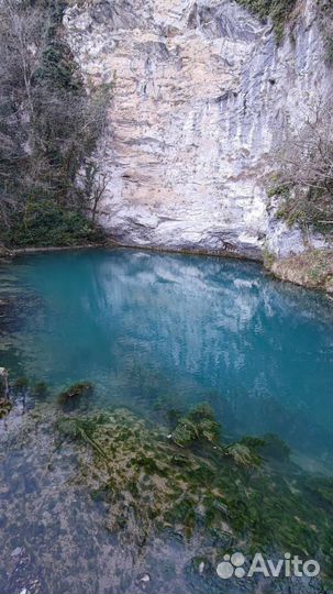 Увлекательные экскурсии в Абхазию и по Сочи