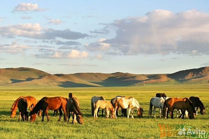 Ферма(1000га)собственник