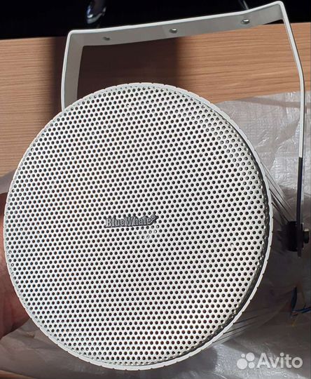 Blue Whale CS-218 уличная аудиоколонка 40 Вт