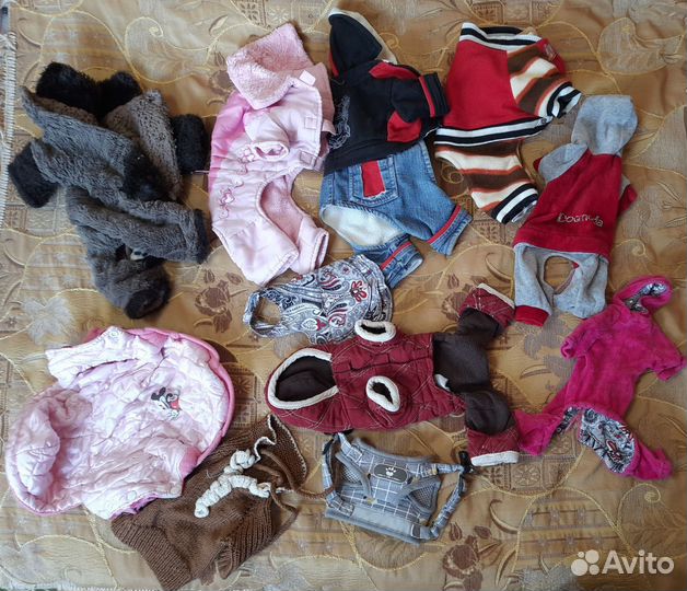 Одежда и обувь для маленьких собак