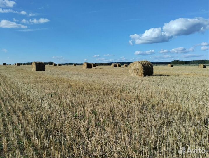 Солома в рулонах