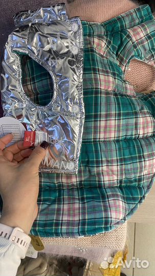 Одежда для собак