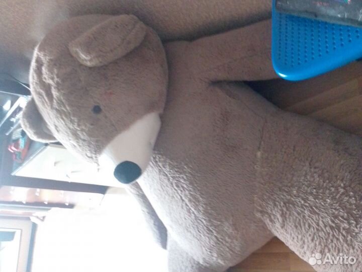 Плюшевый медведь