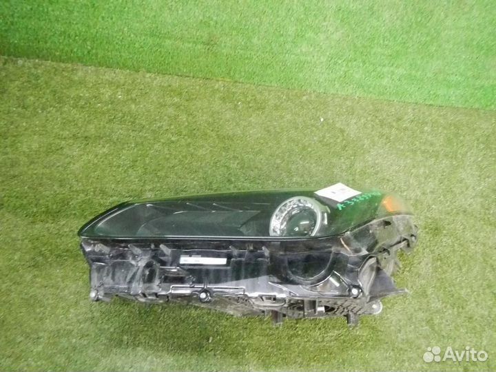 Фара левая Lexus NX200/NX200t/NX300/NX300h
