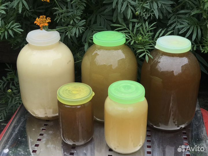 Мед с личной пасеки