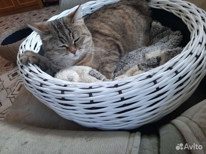 Лежак,домик для животных из ротанга