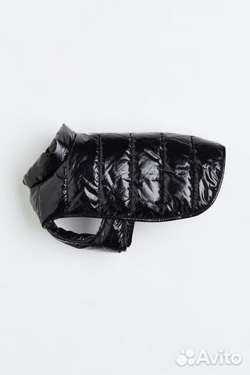 Одежда для маленьких собак