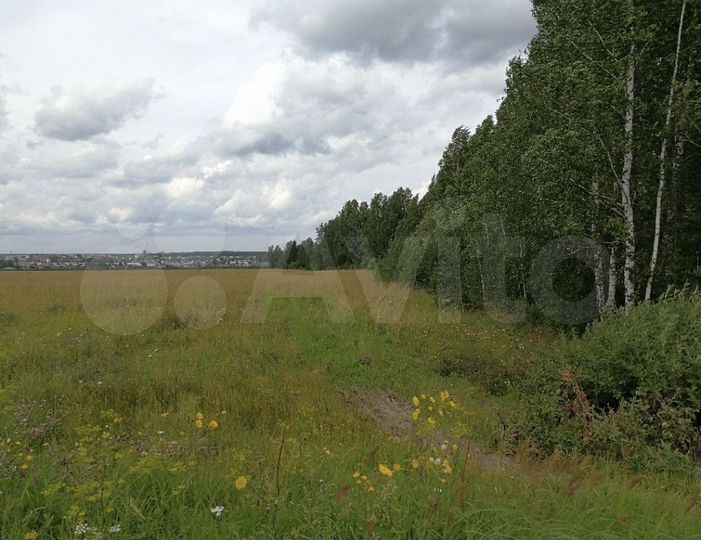 Участок 6 сот. (СНТ, ДНП)