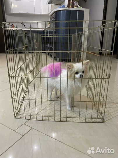 Валер для животных