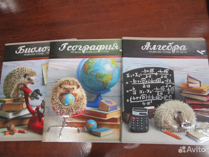 Тетради школьные комплект 3 шт