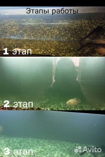 Чистка аквариума