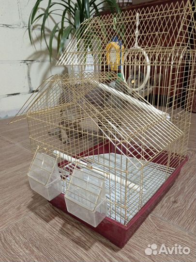 Клетка для волнистого попугая