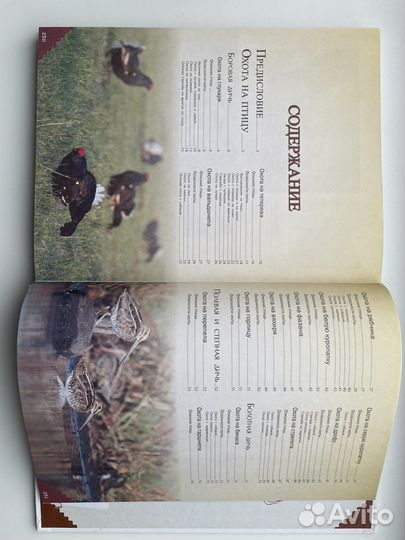 Большая энциклопедия охоты