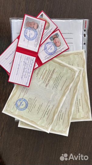 Уничтожение тараканов клопов блох Дезинфекция