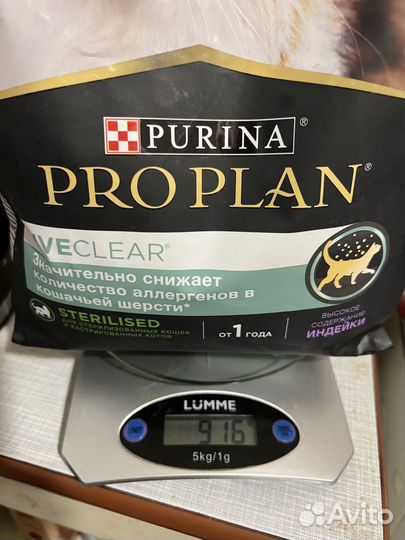 Корм для кошек