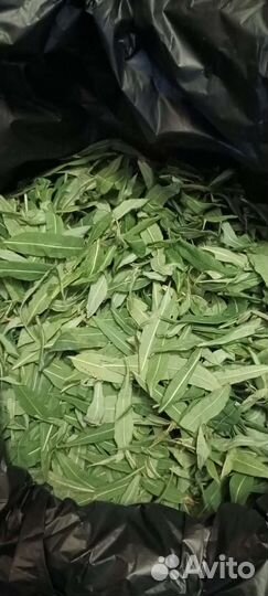 Иван-чай ферментированный