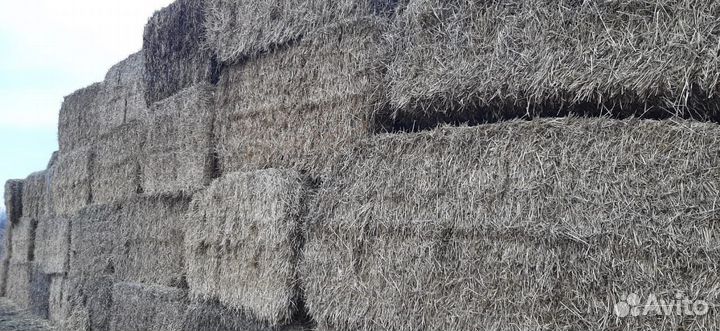 Солома в тюках