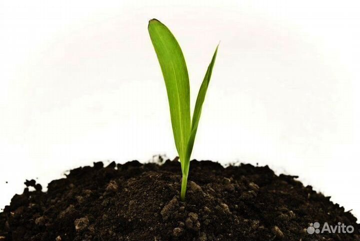 Грунт растительный