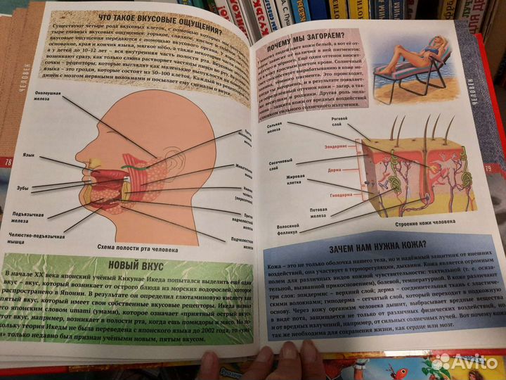 Детская энциклопедия
