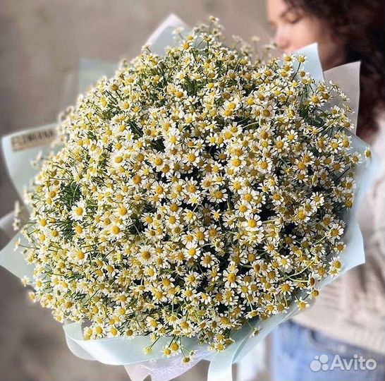 Ромашки букет