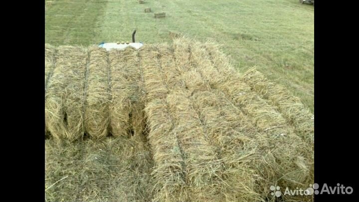 Сено степное разнотравье в кипах