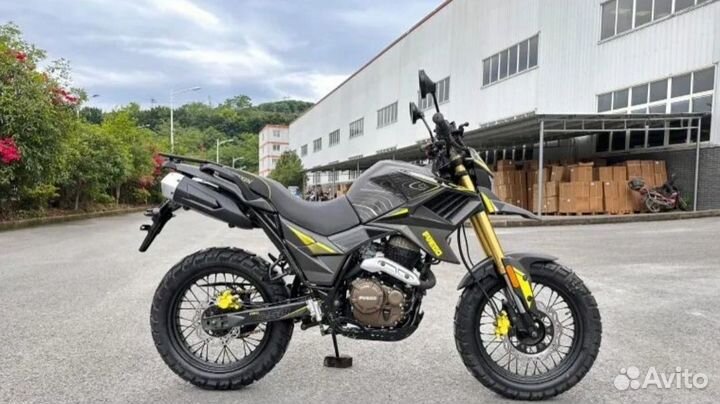 Fuego Tekken 3.0 250