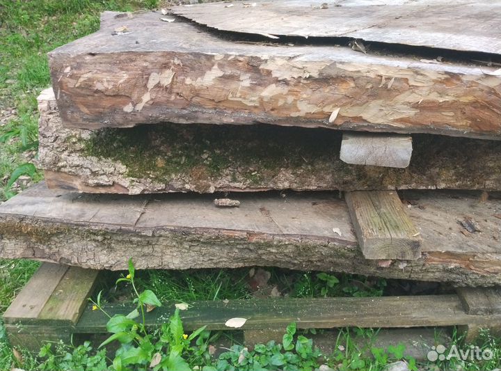 Слэбы, спилы дуба, ясеня, бука, комфортный лавр
